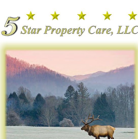 5 Star Property Care, LLC